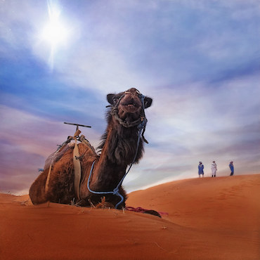 Booking Fez to Marrakech via Merzouga 3 days desert tour
