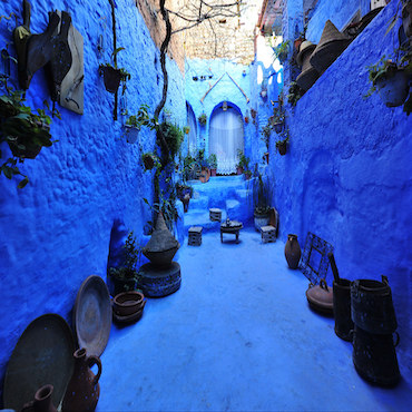 our gallery 